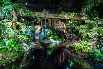 DMMかりゆし水族館様施設内画像